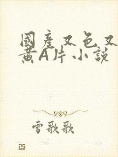 国产又色又爽又黄A片小说