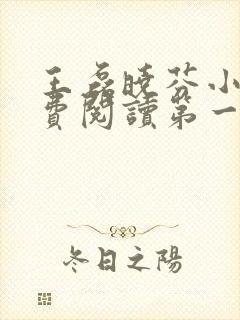 王磊晓芬小说免费阅读第一章