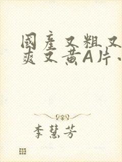 国产又粗又猛又爽又黄A片小说