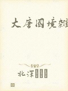 大唐国境杂货店