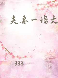 夫妻一场大结局