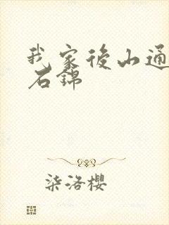 我家后山通仙界石锦