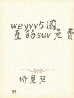weyvv5国产的suv免费
