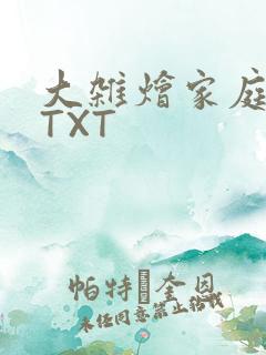 大杂烩家庭小说TXT