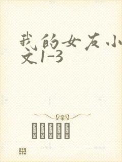 我的女友小洁全文1-3