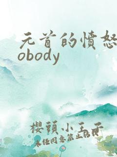元首的愤怒之nobody