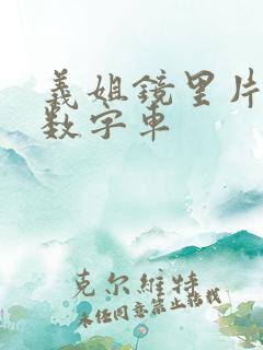 义姐镜里片微博数字车