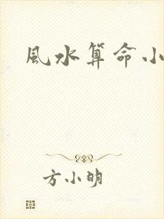 风水算命小说