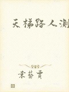 天梯路人测试器