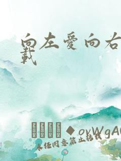 向左爱向右爱下载