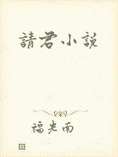 请君小说