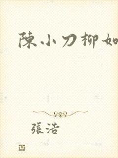 陈小刀柳如意