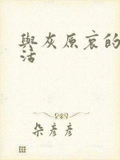 与灰原哀的h生活