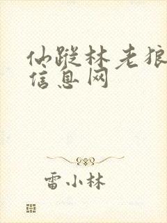 仙踪林老狼贰佰信息网