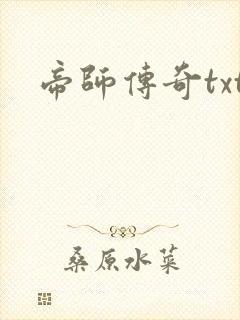 帝师传奇txt
