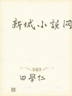新城小说网