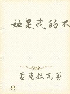 她是我的不准碰