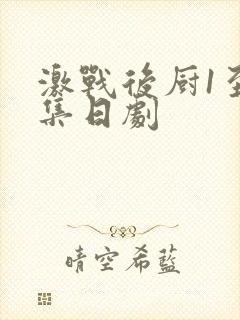 激战后厨1至5集日剧