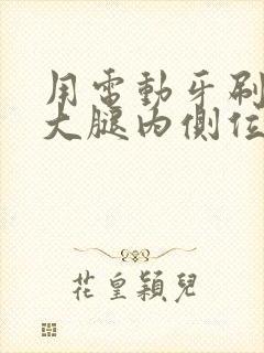 用电动牙刷放在大腿内侧位置作文