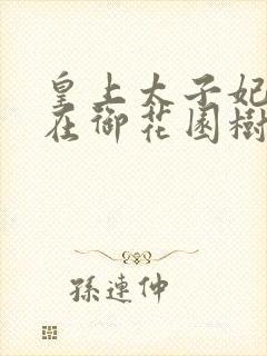 皇上太子妃沈音在御花园树上