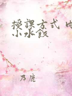 授课方式 肉馅小水饺