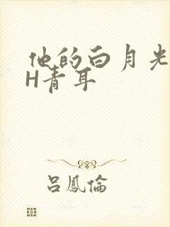 他的白月光HVH青耳