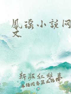 凤瑶小说网高辣文