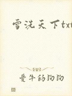 雪洗天下txt