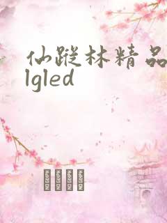仙踪林精品zzlgled