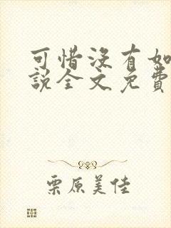 可惜没有如果小说全文免费阅读