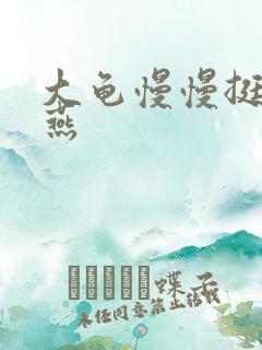 大龟慢慢挺进张燕