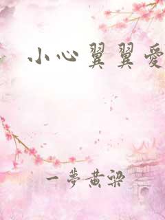 小心翼翼爱上你