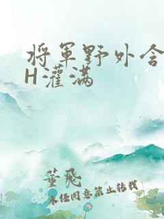 将军野外含公主H灌满