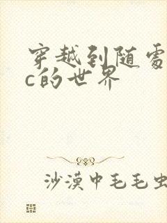 穿越到随处可以c的世界