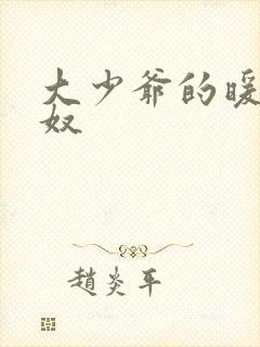 大少爷的暖床小奴