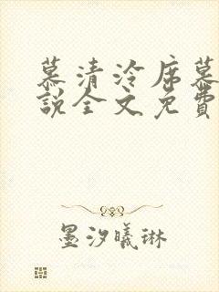 慕清泠席慕深小说全文免费阅读