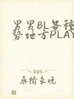 男男BL各种姿势地方PLAY文