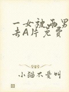 一女被两男桶进去A片免费