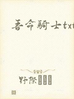 吾命骑士txt