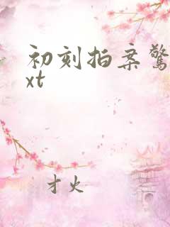 初刻拍案惊奇txt