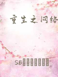 重生之网络大亨