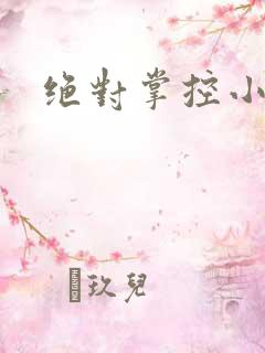 绝对掌控小说