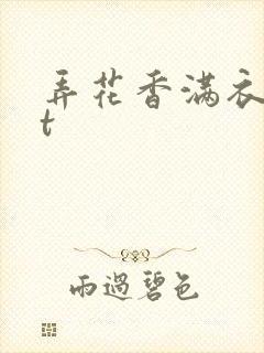 弄花香满衣txt