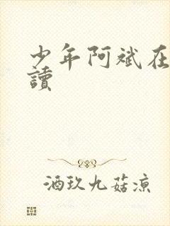 少年阿斌在线阅读