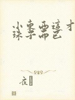 小东西这才一颗珠子而已