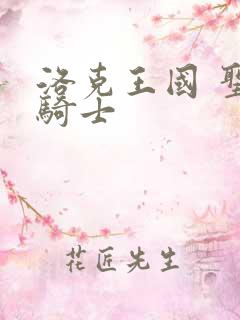 洛克王国 圣龙骑士