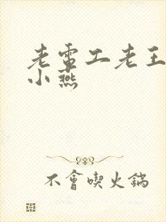 老电工老王和李小燕