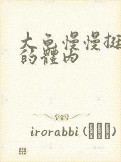 大龟慢慢挺进我的体内