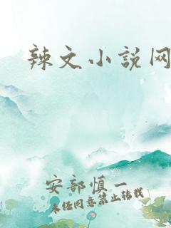 辣文小说网