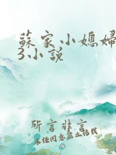 苏家小媳妇1V3小说